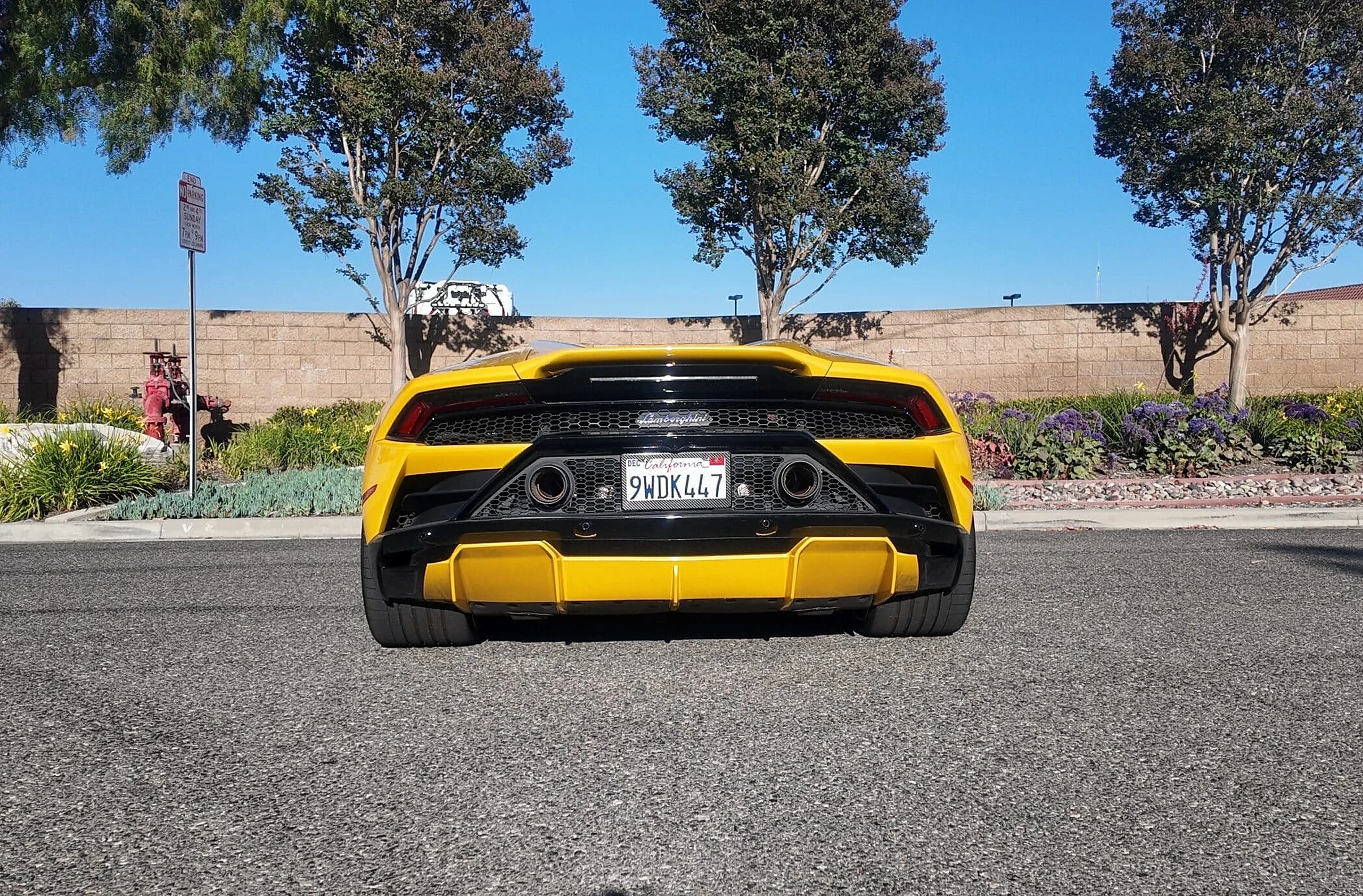 Lamborghini Spyder detail